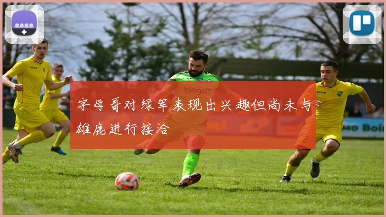 字母哥对绿军表现出兴趣但尚未与雄鹿进行接洽