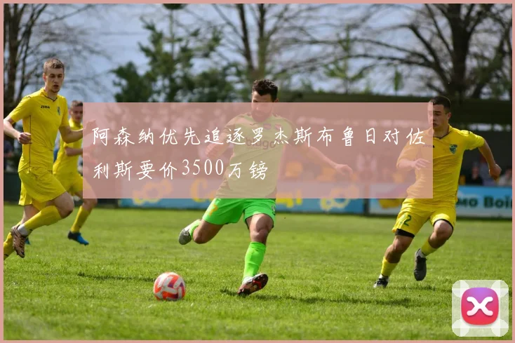 阿森纳优先追逐罗杰斯布鲁日对佐利斯要价3500万镑